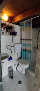 a bathroom with a toilet and a shower at Kynosoura's sea view in Ambelákia