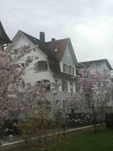 una casa blanca con un árbol floreciente delante de ella en Loft Apartment in Central Zug en Zug