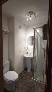 a bathroom with a toilet and a sink and a shower at Apartamento VILLASOLETE in Fuengirola