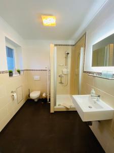 a bathroom with a sink and a shower and a toilet at Ferienwohnung Ambiente in Klotten