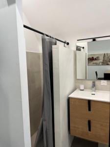 La salle de bains est pourvue d'un rideau de douche et d'un lavabo. dans l'établissement Agréable studio en plein coeur de ville, à Saint-Jean-de-Védas