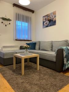 un salon avec un canapé et une table basse dans l'établissement Zgonjanin Wellness&Spa, à Zlatibor