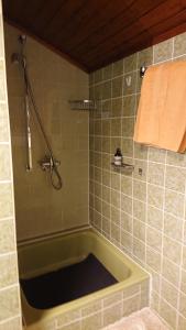 a bathroom with a green tub and a shower at Eifelvilla Urbigkeit in Schönecken +39 photos