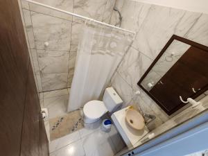 uma pequena casa de banho com WC e chuveiro em SONSOLES HOTEL em Paso de la Patria