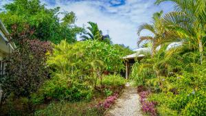 a path through a garden with palm trees and flowers at Nungwi House in Nungwi