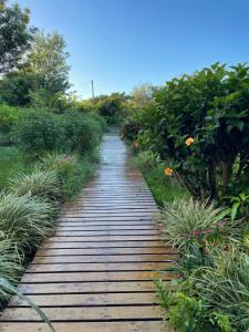 a wooden path through a garden with plants at Teanehi Bed & Breakfast in Hanga Roa