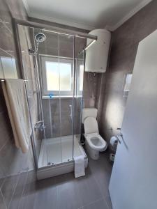 a bathroom with a shower and a toilet at DIN Ljubic in Mimice +10 photos