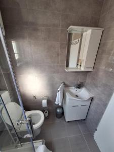 a bathroom with a sink and a toilet and a mirror at DIN Ljubic in Mimice