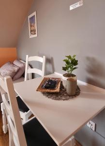a white dining room table with a plant on it at Apartmaji Medved, brezplačno parkiranje in Tacen +23 photos