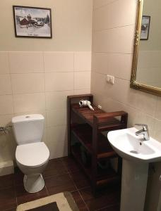 La salle de bains est pourvue de toilettes, d'un lavabo et d'un miroir. dans l'établissement Apartament Józefinka w Willi Józefina, à Szklarska Poręba