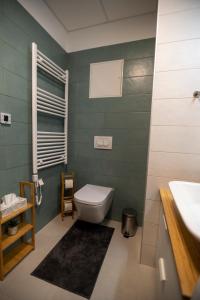 y baño con aseo y lavamanos. en Mistral Residence 308, en Balatonföldvár