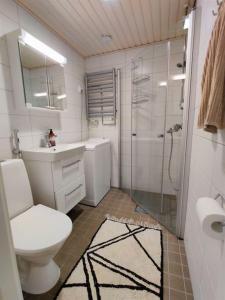 ein Bad mit einem WC, einem Waschbecken und einer Dusche in der Unterkunft Room Aria in Savonlinna