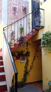 una escalera con plantas en el lateral de un edificio en Luna y Mar en Oaxaca de Juárez