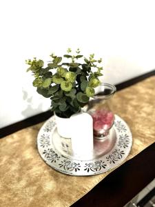 a vase with a plant on a plate on a counter at Tranquil Living on Maboneng in Johannesburg