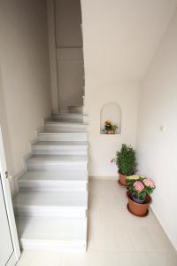 Fotografie z fotogalerie ubytování SPACIOUS COUNTRY APARTMENT v destinaci Vravrona