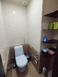 uma casa de banho com um WC numa banheira em Уютные апартаменты в центре em Tashkent