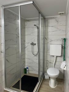 a bathroom with a shower and a toilet at Skadarska in Pančevo
