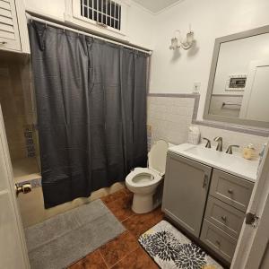 ein Bad mit einem WC, einem Waschbecken und einer Dusche in der Unterkunft Home Sweet Home in Hallandale Beach
