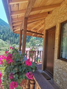 Billede fra billedgalleriet på Вила Дяволска пътека i Borino