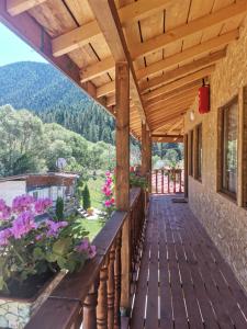 Billede fra billedgalleriet på Вила Дяволска пътека i Borino + 24 billeder