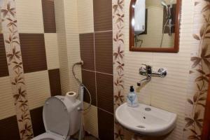 łazienka z toaletą i umywalką w obiekcie Къща за гости Ленови w mieście Elena