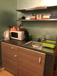 eine Küchentheke mit einer Spüle und einer Mikrowelle in der Unterkunft DIMORA IL CAMMINO in San Vito al Torre