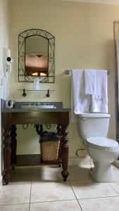 a bathroom with a sink and a toilet and a mirror at Los Altos Apartments & Studios in Managua