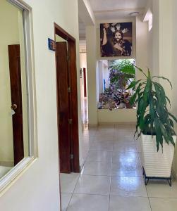 un pasillo con una maceta al lado de una puerta en Hostal Doña Nancy en Mompox