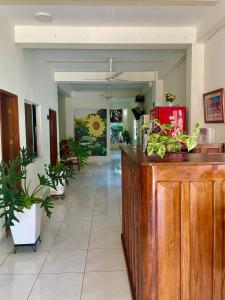 un pasillo con plantas y un mostrador en una habitación en Hostal Doña Nancy en Mompox
