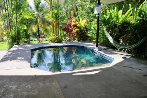 a swimming pool with a hammock in a garden at Pool house, Casa Luna in Pavones