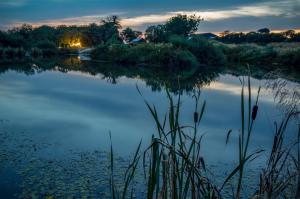 uma vista para um lago à noite em Fern Cottage - Luxurious 1 Bedroom - Blossom Farm em Johnston