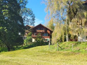 ein Haus auf einem Grashügel in der Unterkunft Apartment Wildbach in Lenk im Simmental