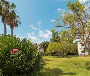 un parc avec des palmiers et une fleur rose dans l'établissement Galería de arte., à Arona