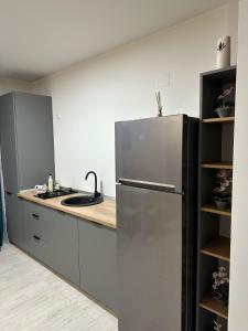 a kitchen with a refrigerator and a sink at Residence 3 in Ploieşti