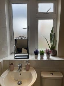 a bathroom with a sink and a window with potted plants at Stunning Flat Close to Regents Park and Euston Station! in London