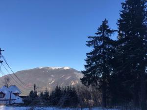 a snow covered mountain with a house and a tree at Vila Doru Predeal in Predeal