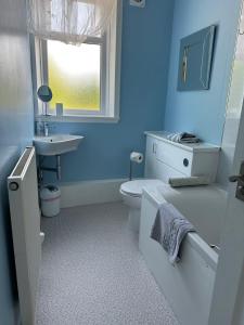 a blue bathroom with a toilet and a sink at Criffel View in Dumfries
