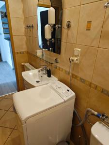een badkamer met een wastafel, een toilet en een spiegel bij Mieszkanie Tarnowo Podgórne in Tarnowo Podgórne