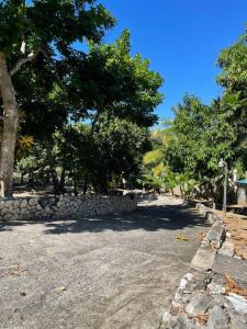 una calle con árboles y una pared de piedra en Beautiful Getaway Vacation Property With Private Pool! en Montego Bay