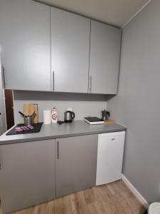 une cuisine avec des armoires blanches et un comptoir dans l'établissement Barbara Ustroń, à Ustroń