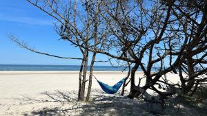 a blue hammock hanging from a tree on the beach at Jurata 567 in Jastarnia