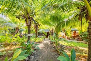 a path through a garden with palm trees at Eco-Lodge Deseo Bamboo in Santa Catalina