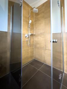a shower with a glass door in a bathroom at FeWo Backbord in Braunsbedra