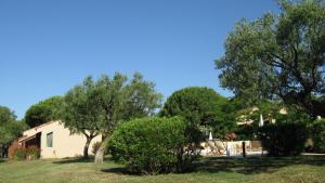 a house with a yard with trees and a house at Residence Les Sellettes in Saint-Tropez