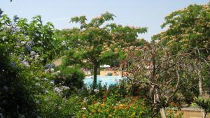a swimming pool surrounded by trees and flowers at Residence Les Sellettes in Saint-Tropez