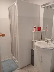 ein weißes Bad mit einem Waschbecken und einer Dusche in der Unterkunft Gîte familiale au cœur du village in Villiers-au-Bouin
