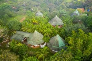 una vista aérea de un complejo con techos verdes en Eco-Lodge Deseo Bamboo, en Santa Catalina
