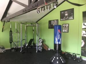 a gym with green walls and a bunch of machines at Holly's Lodge in Wellington