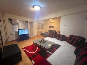 uma sala de estar com um sofá e uma televisão em Aleksandra 4 em Skopje