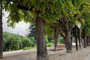 un banco del parque sentado en medio de los árboles en Appartement Val André en Le Port-Marly